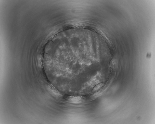 X0000094810671200711301552