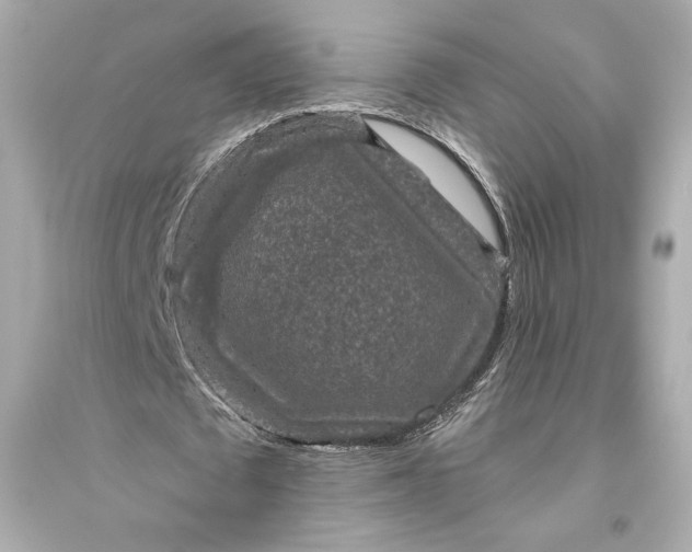 X0000094810673200711301552