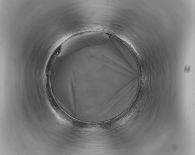 X0000094810674200711301552