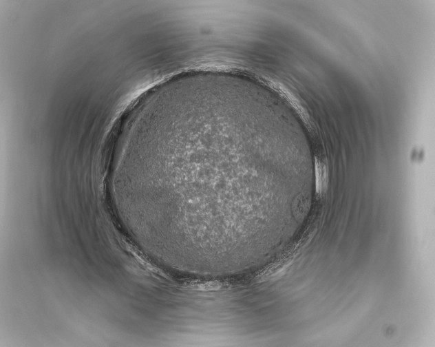 X0000094810675200711301552