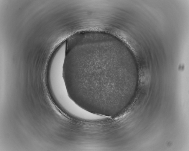 X0000094810677200711301552