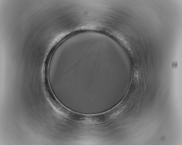 X0000094810678200711301552