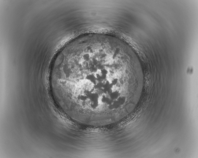 X0000094810679200711301552