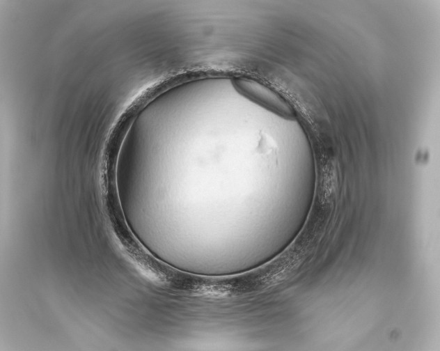 X0000094810680200711301552