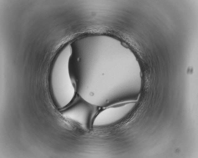 X0000094810681200711301552