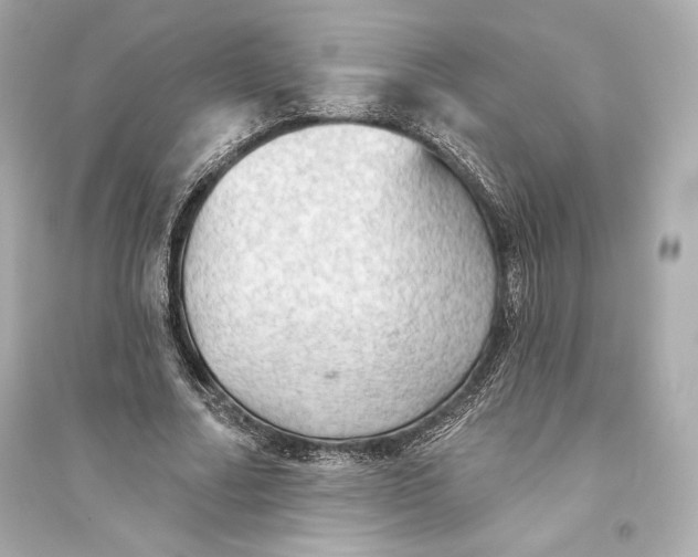 X0000094810682200711301552