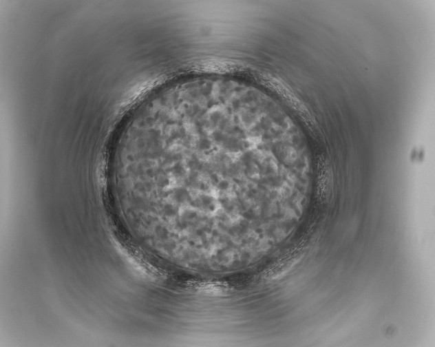 X0000094810683200711301552