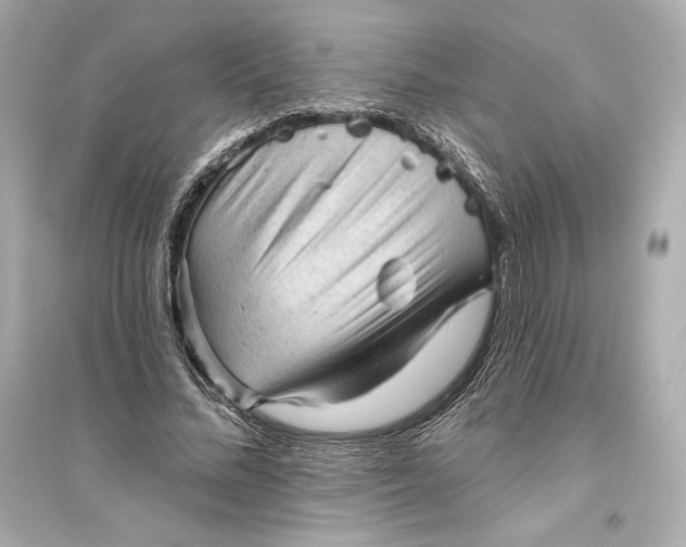 X0000094810684200711301552