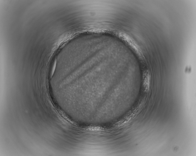 X0000094810685200711301552