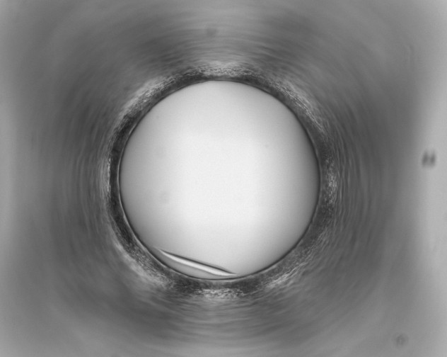 X0000094810686200711301552