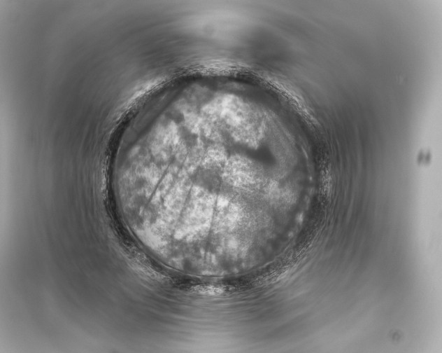 X0000094810687200711301552