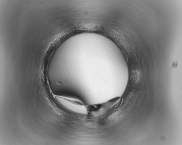 X0000094810688200711301552