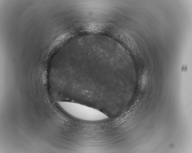 X0000094810689200711301552