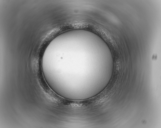 X0000094810690200711301552