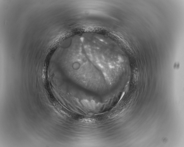 X0000094810691200711301552