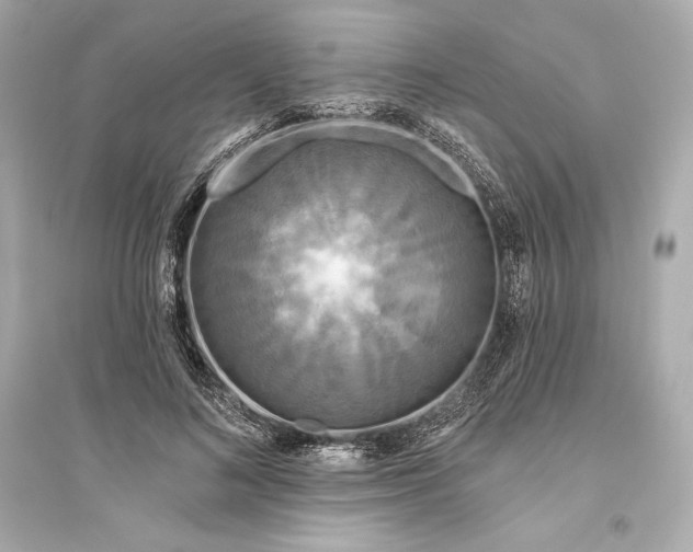 X0000094810692200711301552