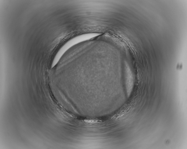 X0000094810693200711301552