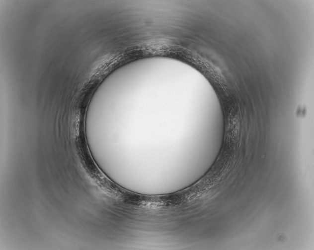 X0000094810694200711301552