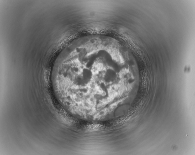 X0000094810695200711301551