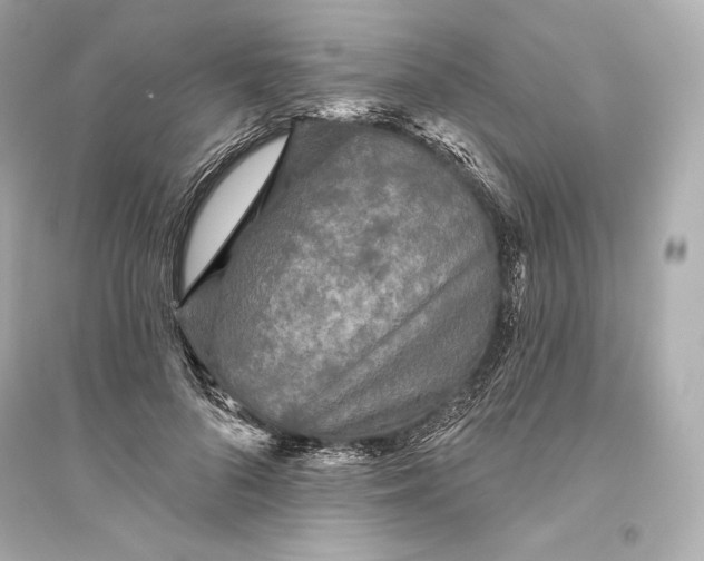 X0000094810696200711301551