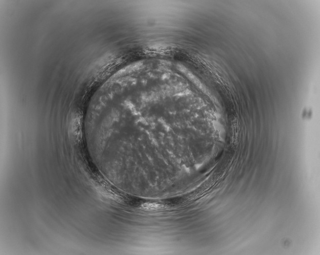 X0000094810699200711301551