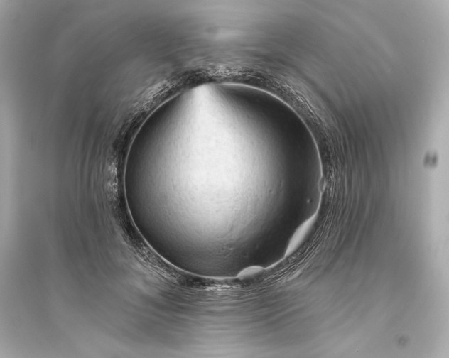 X0000094810700200711301551