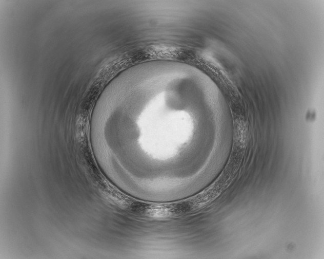 X0000094810701200711301551