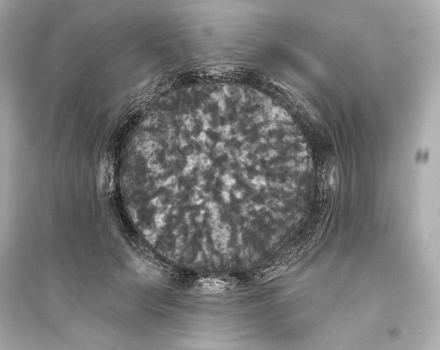 X0000094810703200711301551