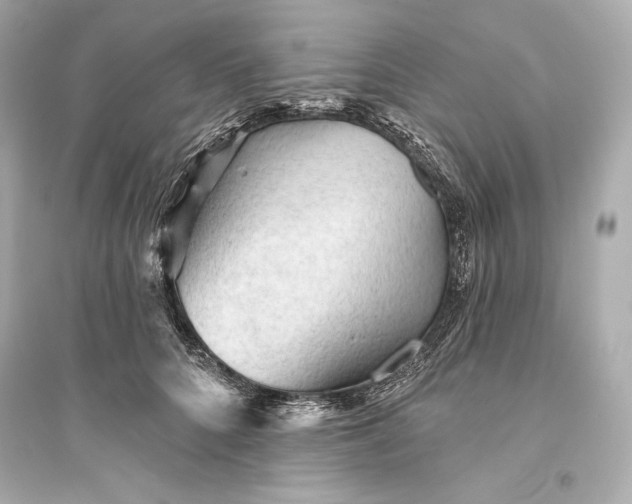 X0000094810704200711301551