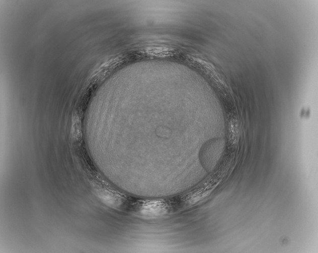 X0000094810705200711301551