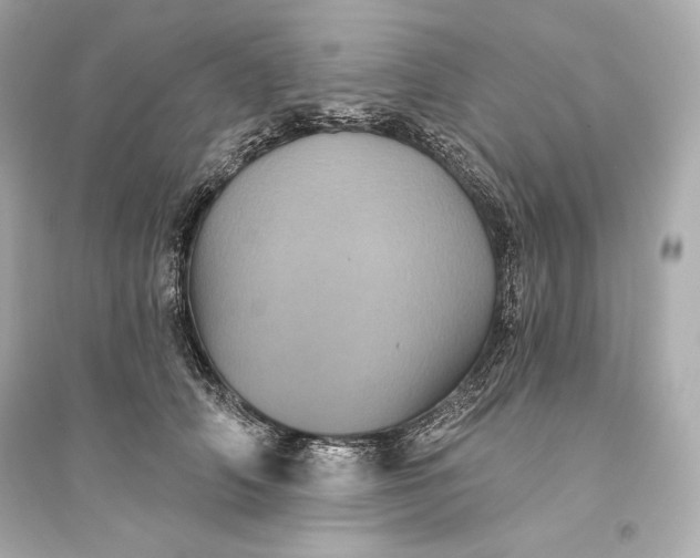 X0000094810706200711301551