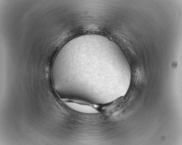 X0000094810708200711301551