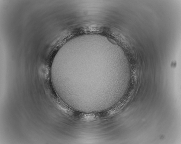 X0000094810709200711301551