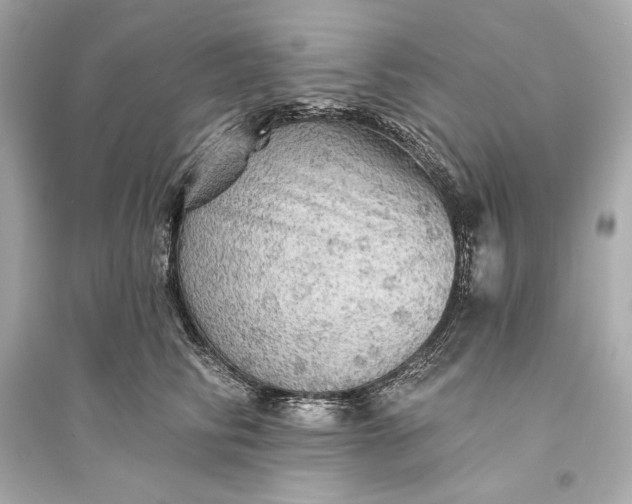 X0000094810710200711301551