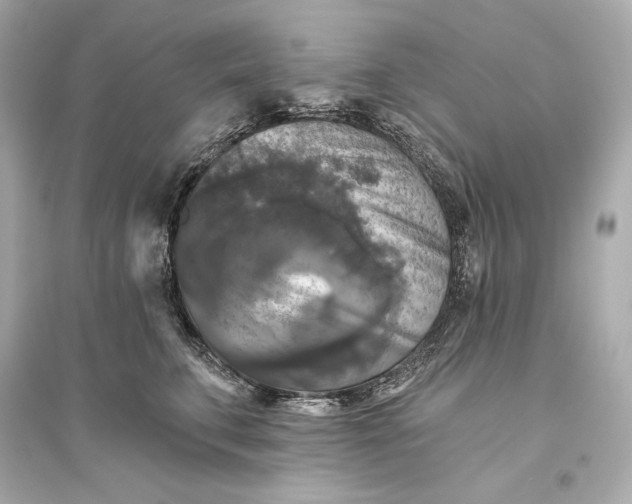 X0000094810711200711301551