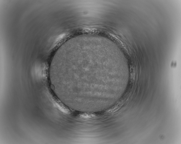 X0000094810712200711301551