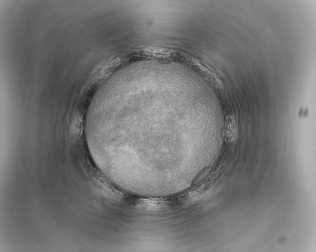 X0000094810713200711301551