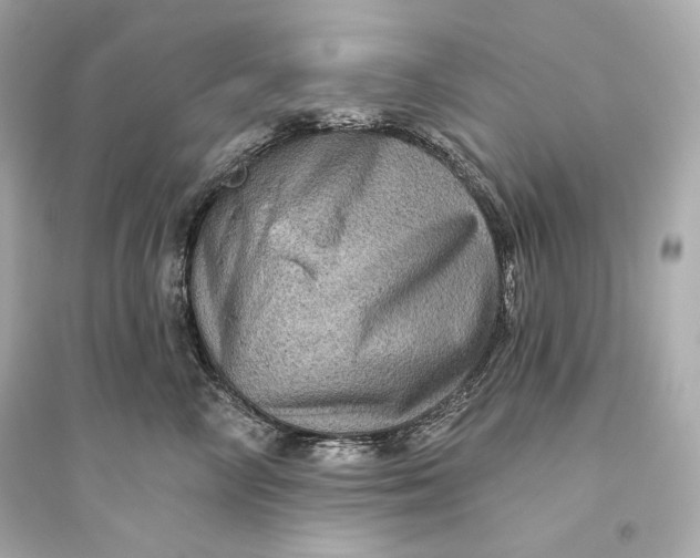 X0000094810714200711301551