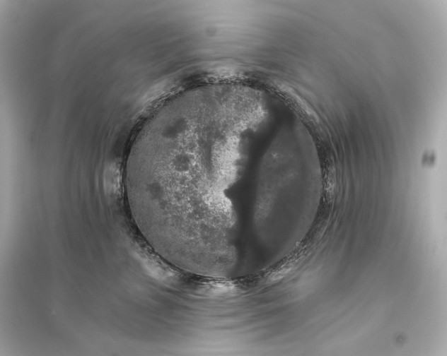 X0000094810715200711301551