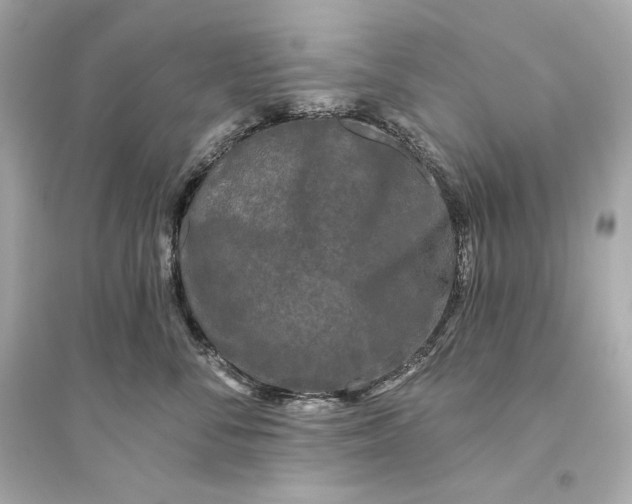 X0000094810716200711301551