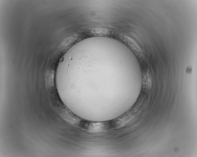 X0000094810717200711301551