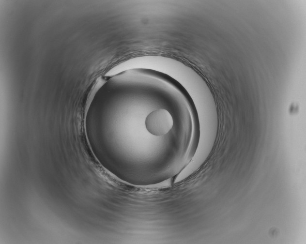 X0000094810720200711301551