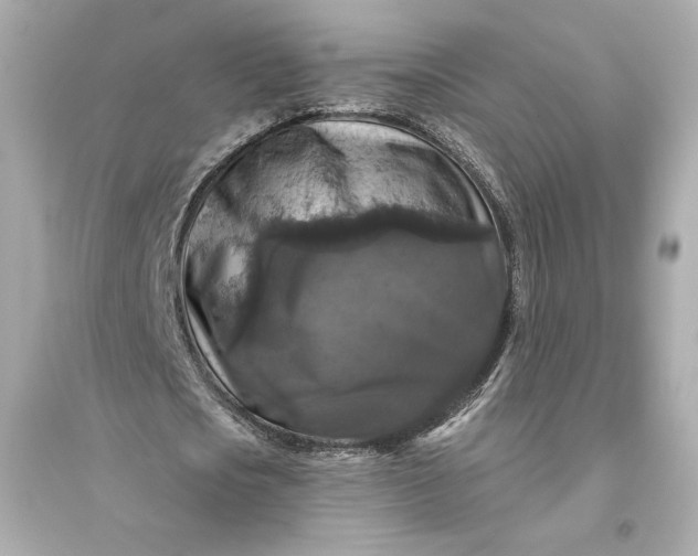 X0000094810721200711301550