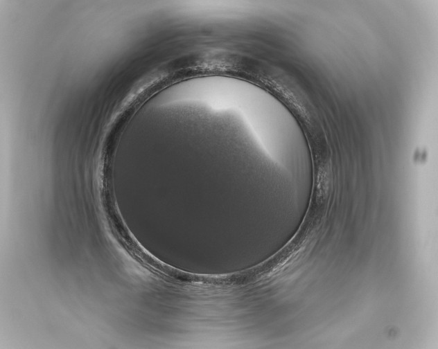 X0000094810722200711301550