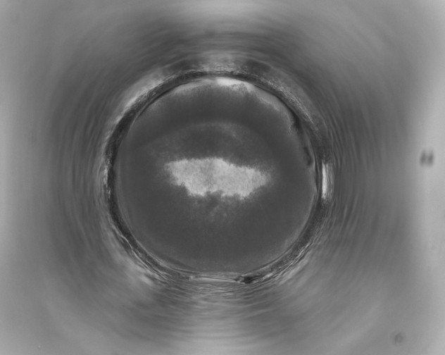 X0000094810723200711301551