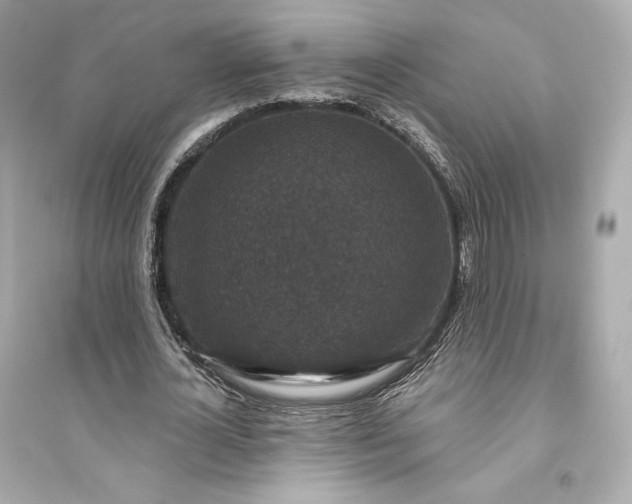 X0000094810724200711301551