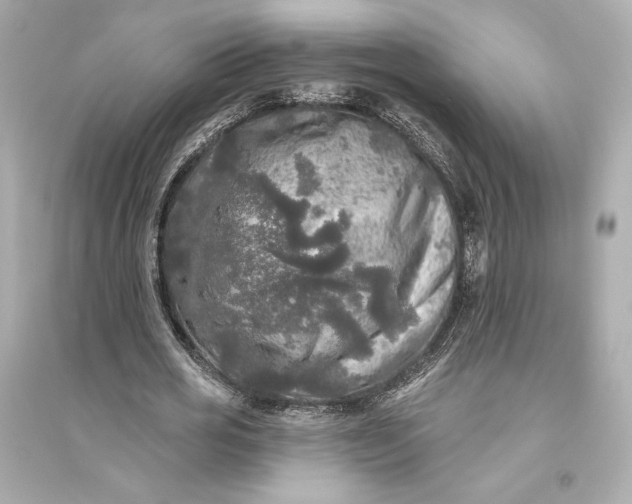 X0000094810725200711301551