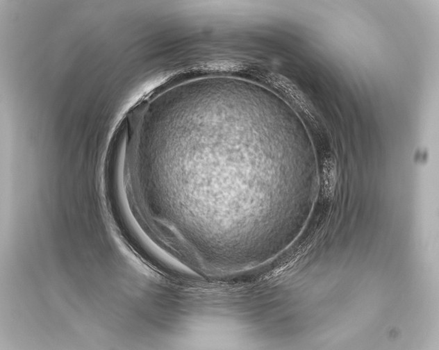 X0000094810726200711301551