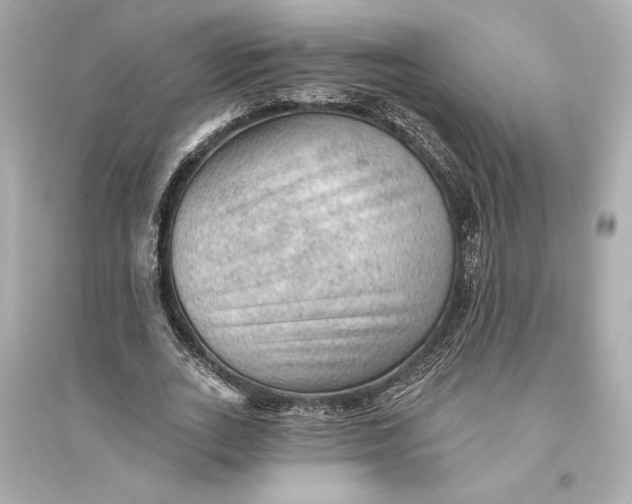 X0000094810727200711301551