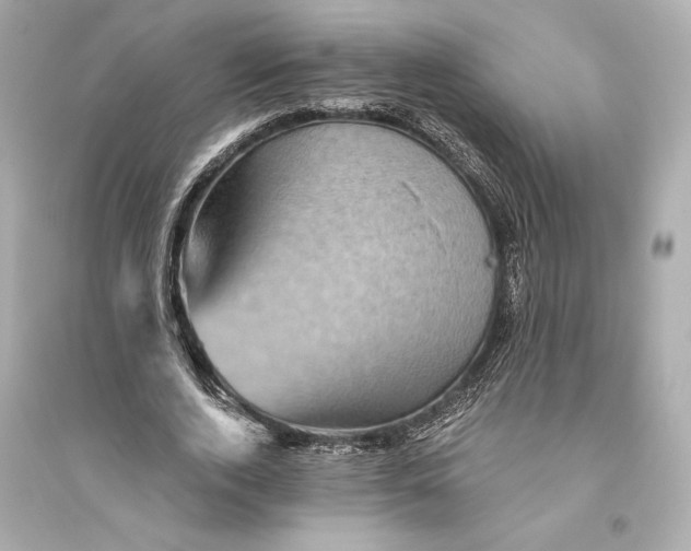 X0000094810728200711301551